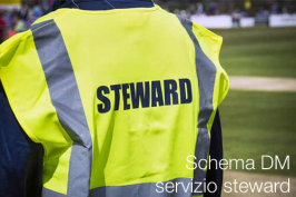 Schema DM servizio steward impianti sportivi Schema DM servizio steward impianti sportivi