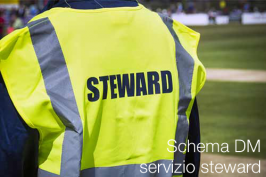 Schema DM servizio steward impianti sportivi