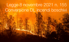 Legge 8 novembre 2021 n. 155