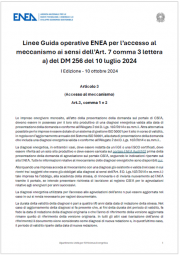 Linee guida operative ENEA accesso meccanismo adempimenti obblighi impresa energivora Linee guida operative ENEA accesso meccanismo adempimenti obblighi impresa energivora