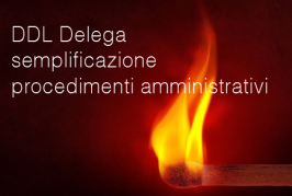 DDL Delega per la semplificazione dei procedimenti amministrativi