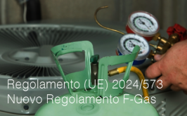 Regolamento (UE) 2024/573