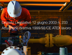 Decreto Legislativo 12 giugno 2003 n. 233 