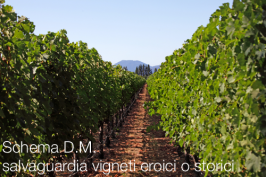 Schema D.M. salvaguardia dei vigneti eroici o storici Schema D.M. salvaguardia dei vigneti eroici o storici