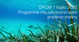 DPCM 7 luglio 2022