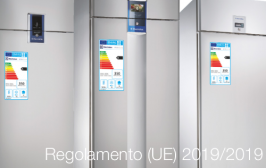 Regolamento (UE) 2019/2019