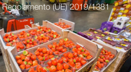 Regolamento (UE) 2019/1381 Regolamento (UE) 2019/1381