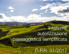 D.P.R. 13 febbraio 2017 n. 31