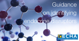 Guidance on identifying endocrine disruptors Guidance on identifying endocrine disruptors