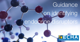 Guidance on identifying endocrine disruptors 