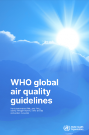 Linee guida globali Oms sulla qualità dell’aria 2021