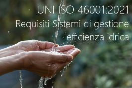 UNI ISO 46001:2021 UNI ISO 46001:2021