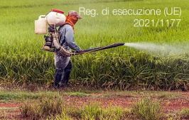 Regolamento di esecuzione (UE) 2021/1177