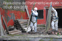 Risoluzione del Parlamento europeo 20 ottobre 2021 - 2019/2182 (INL)