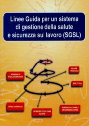Sistemi di gestione di salute e sicurezza sul lavoro, bilanci e prospettive Sistemi di gestione di salute e sicurezza sul lavoro, bilanci e prospettive