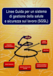 Sistemi di gestione di salute e sicurezza sul lavoro, bilanci e prospettive