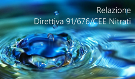 Relazione Direttiva 91/676/CEE Nitrati