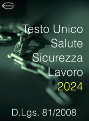 D.Lgs. 81/2008 Testo Unico Salute e Sicurezza Lavoro D.Lgs. 81/2008 Testo Unico Salute e Sicurezza Lavoro