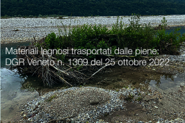 Materiali legnosi trasportati dalle piene: DGR Veneto n. 1309 del 25 ottobre 2022 Materiali legnosi trasportati dalle piene: DGR Veneto n. 1309 del 25 ottobre 2022