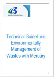 Technical Guidelines Environmentally Management of Wastes with Mercury