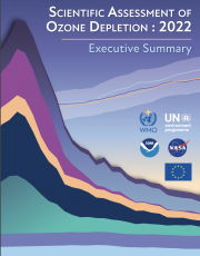 Scientific assessment of Ozone depletion: 2022