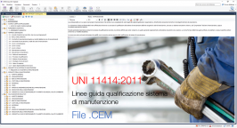 Linee guida per la qualificazione del sistema di manutenzione - file CEM Linee guida per la qualificazione del sistema di manutenzione - file CEM