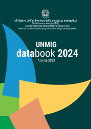 UNMIG databook 2024 UNMIG databook 2024