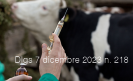 Decreto Legislativo 7 dicembre 2023 n. 218 