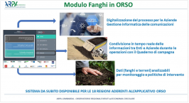 Rifiuti: Applicazione O.R.So. nuova sezione fanghi