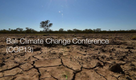 Bali Climate Change Conference (COP13) Bali Climate Change Conference (COP13)