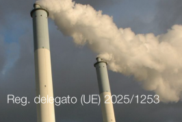 Regolamento delegato (UE) 2025/1253 Regolamento delegato (UE) 2025/1253