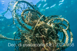 Decisione di esecuzione (UE) 2021/958 Decisione di esecuzione (UE) 2021/958