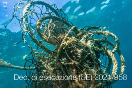 Decisione di esecuzione (UE) 2021/958 