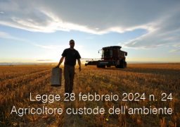 Legge 28 febbraio 2024 n. 24 