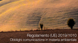 Regolamento (UE) 2019/1010