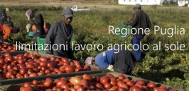 Ordinanza Regione Puglia n. 182/2021: limitazioni lavoro agricolo al sole