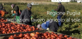 Ordinanza Regione Puglia n. 182/2021: limitazioni lavoro agricolo al sole Ordinanza Regione Puglia n. 182/2021: limitazioni lavoro agricolo al sole