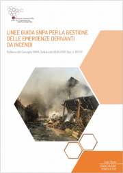 Linee guida Snpa per la gestione delle emergenze derivanti da incendi