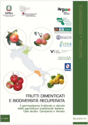 Frutti dimenticati e biodiversità recuperata | Quaderni 2019 Frutti dimenticati e biodiversità recuperata | Quaderni 2019