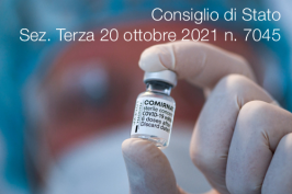 Consiglio di Stato Sezione Terza 20 ottobre 2021 n. 7045