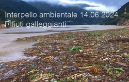 Interpello ambientale 14.06.2024 - Rifiuti di origine vegetale galleggianti Interpello ambientale 14.06.2024 - Rifiuti di origine vegetale galleggianti