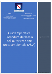 Guida Operativa / Procedura rilascio Autorizzazione Unica Ambientale (AUA)