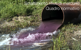 Smaltimento rifiuti di mercurio: il quadro normativo Smaltimento rifiuti di mercurio: il quadro normativo