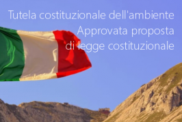 Tutela costituzionale dell'ambiente Tutela costituzionale dell'ambiente