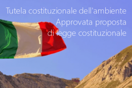 Tutela costituzionale dell'ambiente