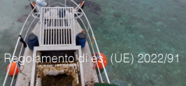 Regolamento di esecuzione (UE) 2022/91 Regolamento di esecuzione (UE) 2022/91