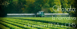 Glifosato in UE: per altri 15 anni, si decide su posizioni differenti di EFSA e OMS