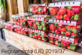 Regolamento (UE) 2019/37 