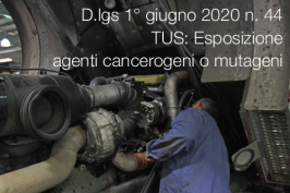 Decreto Legislativo 1 giugno 2020 n. 44 