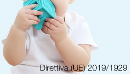 Direttiva (UE) 2019/1929